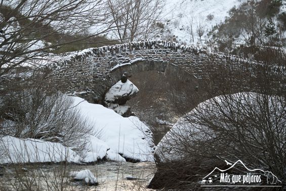 puente romano nevado Fuente Mas que pájaros