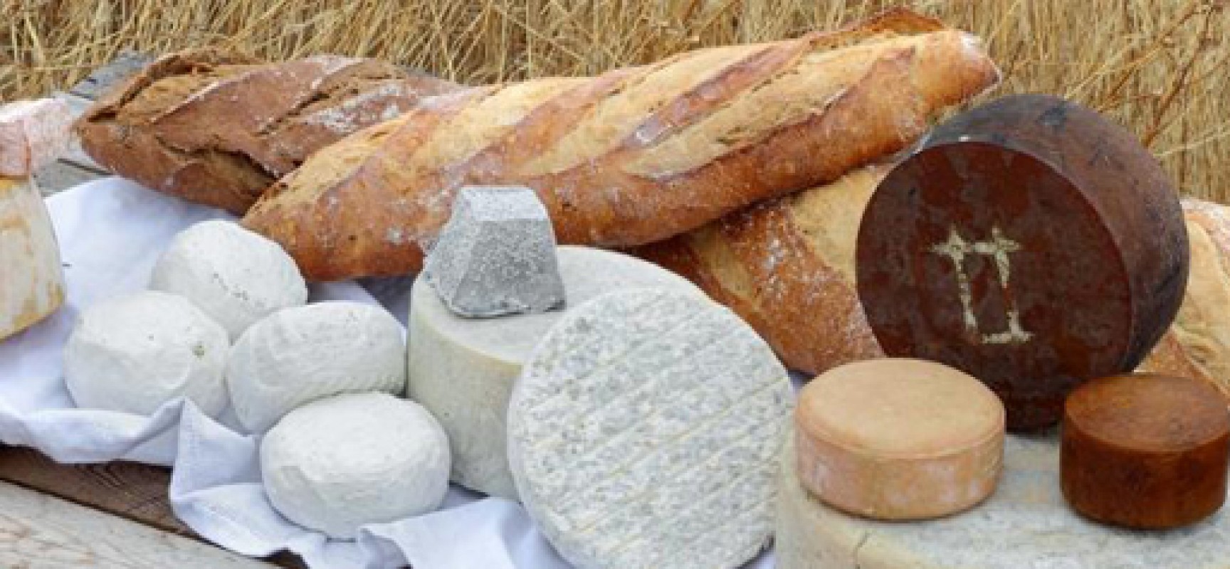 Caminos del Queso, descubre la provincia de Valladolid a través de su