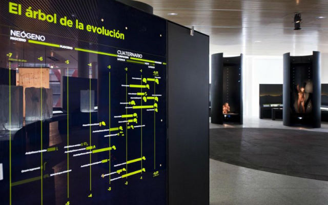 Sala del Museo de la Evolución Humana de Burgos - Imagen de Vidres i Cristalls