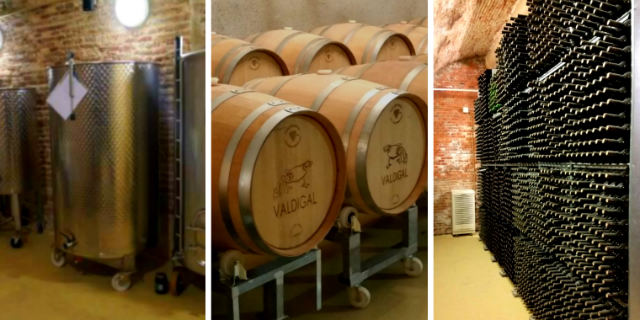 Elementos de elaboración del vino en Bodegas Valdigal - Destino Castilla y León