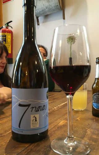 Botella de vino tinto roble 7 Navas - Destino Castilla y León