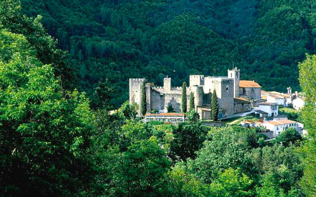 Castillo de Montemayor del Pino, en la Sierra de Béjar - Imagen de SalamancaEmoción