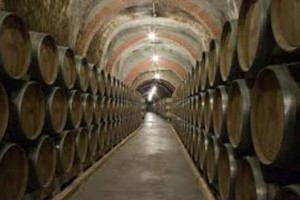 Las Barricas de Bodegas Protos