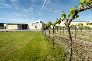 Bodega Legaris Fachada y Viñedos - fuente Evadium.com