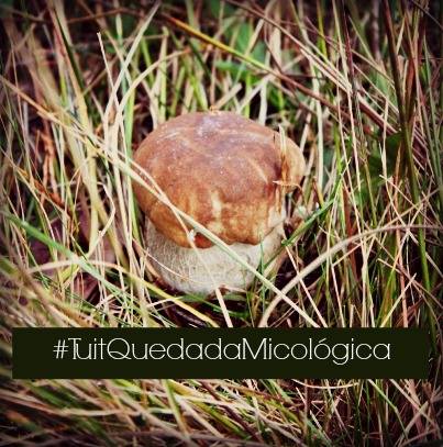 Tuit quedada micológica en Gredos 2013, Fuente: maraengredosfoodblog.blogspot.com.es