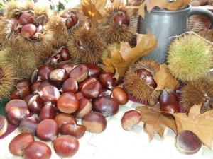 Magosto - Imagen de Cocina de Cuquirecetas