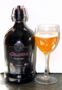 cervezas artesanales de Castilla y León cerveza cazurra