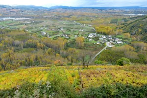 Enoturismo en el Bierzo