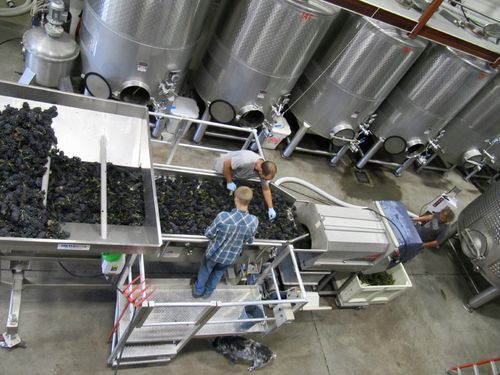 C mo Se Elabora El Vino Tinto Destino Castilla Y Le n C mo Se Elabora El Vino Tinto Destino Castilla Y Le n