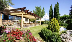 Hotel Montermoso de Aranda de Duero - jardín