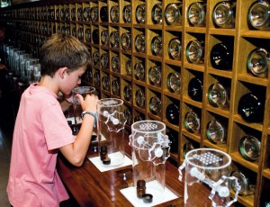 museo del vino de peñafiel-prueba de olores Fuente www.enjoyriberadelduero.com