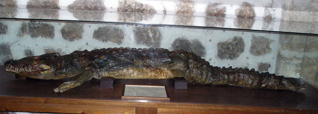 El lagarto de la ermita de Sonsoles (ÁVila) Fuente: www.trekearth.com