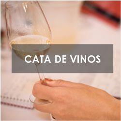 Catas de vinos de Castilla y León