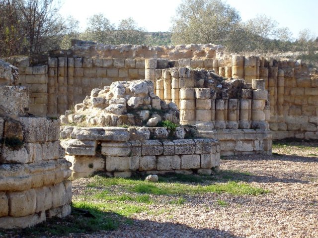 Ruinas del Monasterio de Matallana - Destino Castilla y León