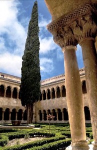 Ciprés de Silos - Destino Castilla y León