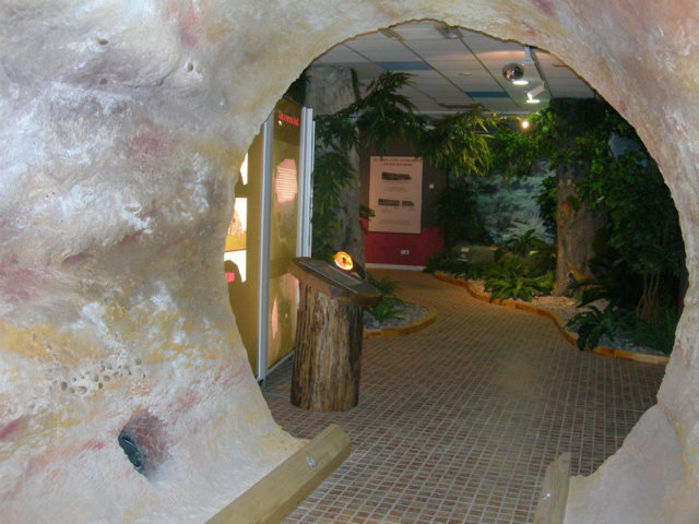 centro de visitantes el árbol fósil Fuente: www.arbolfosilhacinas.es
