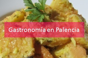 Gastronomía en Palencia