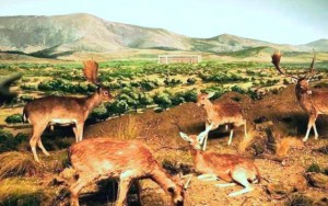 Recreación escénica en el Museo de la Caza - Destino Castilla y León