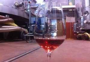 Vino lágrima en Bodegas Hiriart - Destino Castilla y León