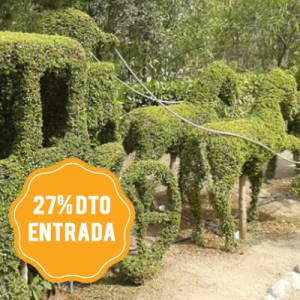 bosque encantado
