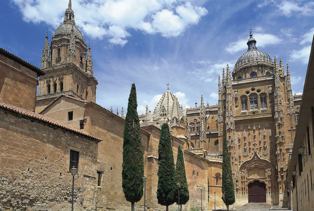 Fachada lateral de la Catedral Nueva de Salamanca - Destino Castilla y León