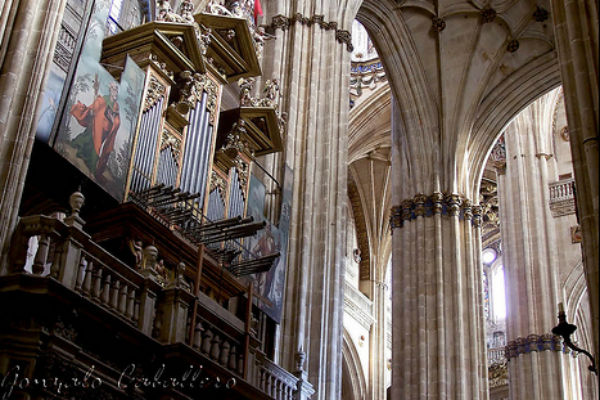 Órgano de la Catedral de Salamanca - Imagen de Gonzalo Caballero