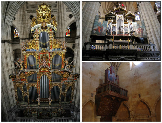Órganos de la Catedral de Salamanca - Destino Castilla y León