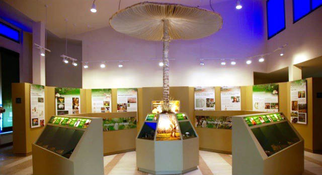 Museo micologico de Rabanales - Imagen del Museo