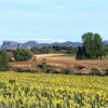 Viaje por la Sierra de la Demanda - Destino Castilla y León
