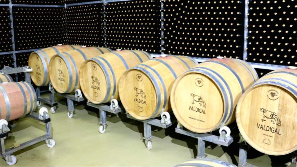 Cata vertical de los vinos Valdigal - Destino Castilla y León