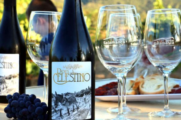 Cata de los vinos de la Bodega Don Celestino - Destino Castilla y León