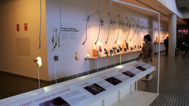 Planta dedicada a las excavaciones de Atapuerca en el Museo de la Evolución Humana