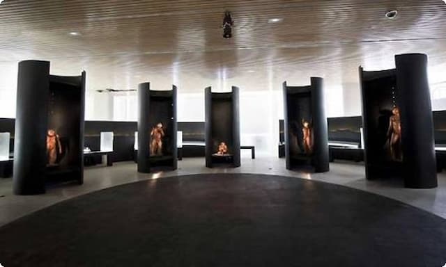 Sala de los homínidos del Museo de la Evolución Humana - Imagen de TaralBur
