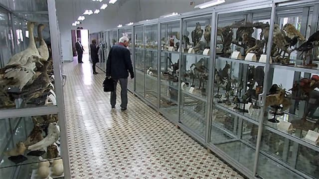 Museo de Ciencias Naturales de El Bierzo - Imagen de InfoBierzo