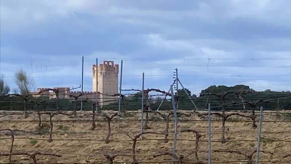 Castillo de la Mota desde Bodegas Menade en Medina del Campo