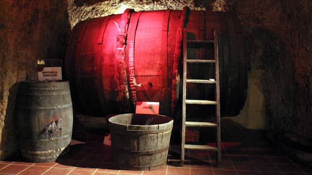 Cubas de almacenamiento de vino en el interior del museo - Imagen del Museo
