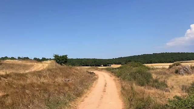 Paisaje en verano de la Sierra de Atapuerca - Destino Castilla y León