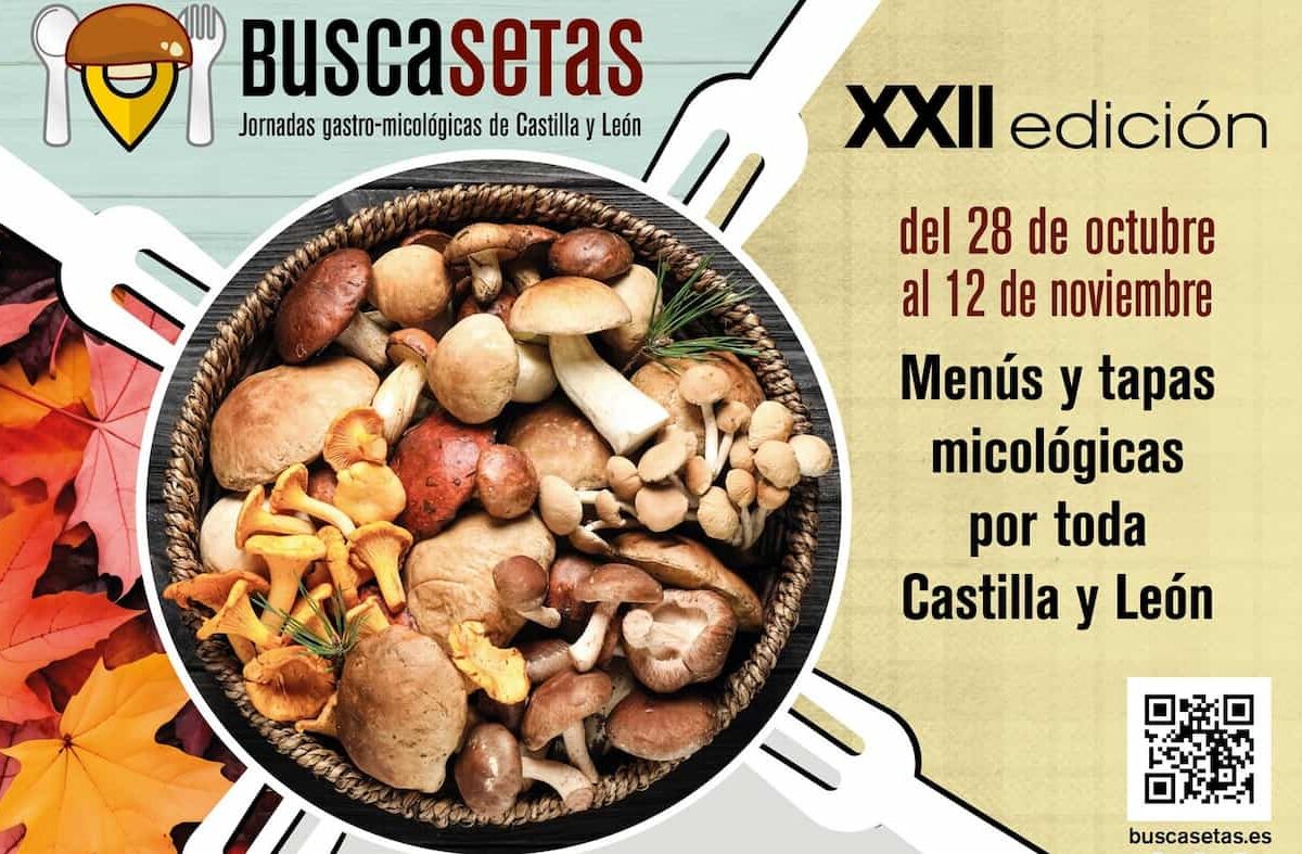 Buscasetas 2023