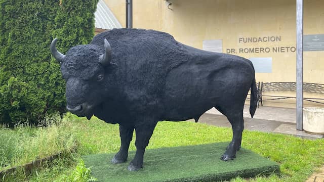 Escultura de bisonte hecha de neumáticos reciclados - Destino Castilla y León