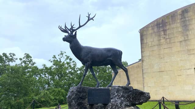 Escultura en bronce de un ciervo en el Museo de la Fauna Salvaje - Destino Castilla y León