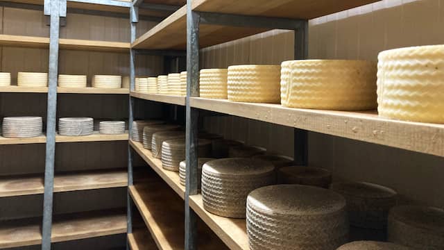 Sala de maduración de los quesos zamoranos de Quesos La Faya - Destino Castilla y León