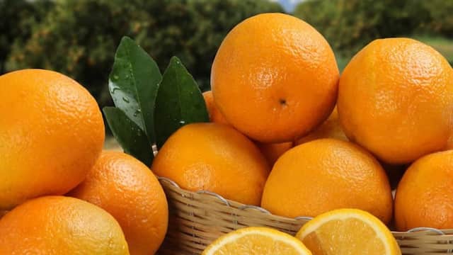 Naranjas premium - Imagen de Frutamare