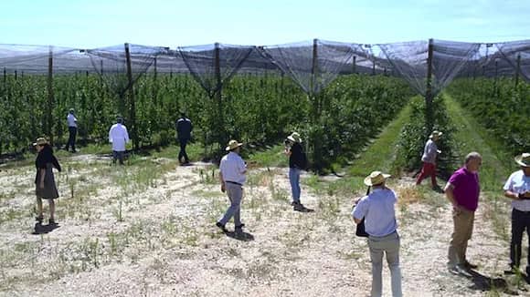 Finca de manzanos en La Rasa, Soria - Imagen de Agroauténtico