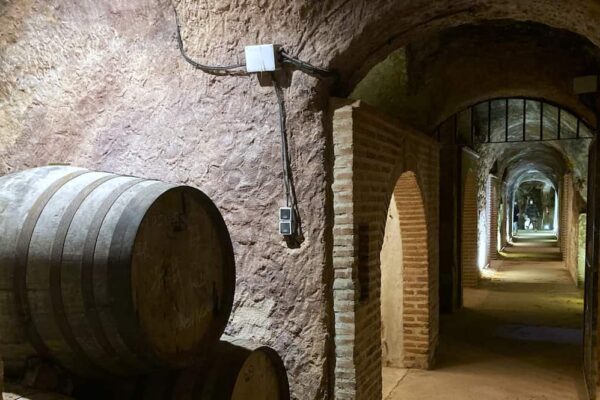 Bodegas de Alberto - Destino Castilla y León
