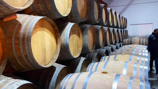 Sala de barricas con criaderas - Destino Castilla y León