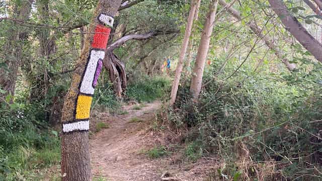 Árboles del bosque encantado de Santibáñez de Tera - Destino Castilla y León