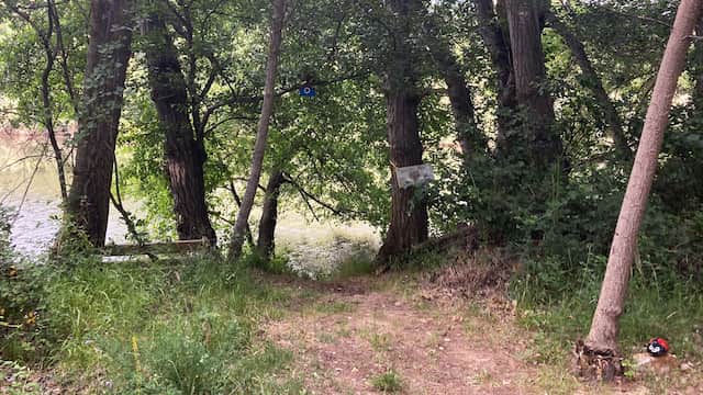 Banco junto al río Tera - Destino Castilla y León