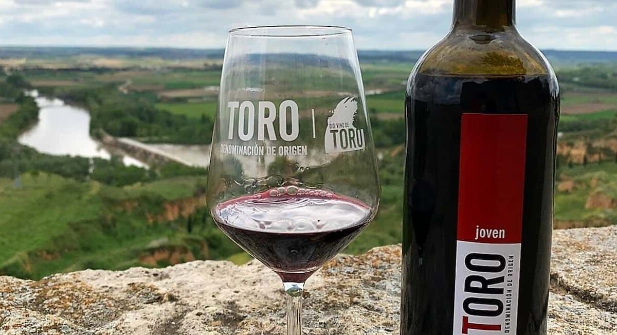 Copa de vino de la DO. Toro
