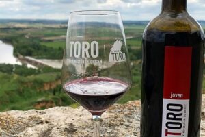 Copa de vino de la DO. Toro