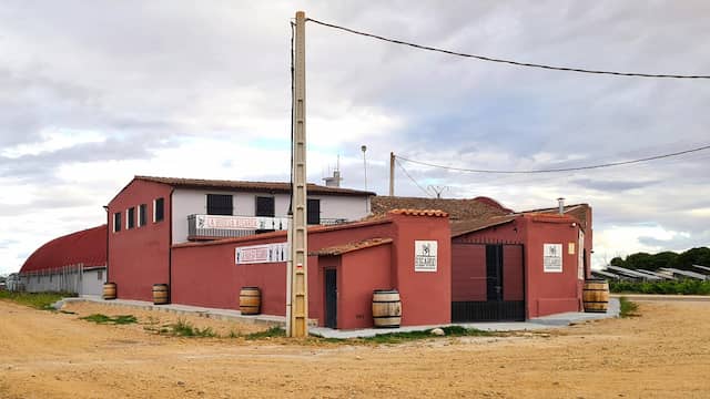 Instalaciones de la Bodega Bigardo - Imagen de la bodega